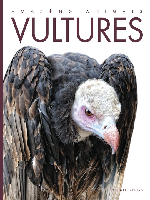 Title details for Vultures by Kate Riggs - Wait list